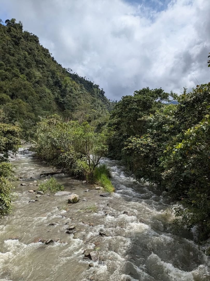 Ayahuasca Ceremony at Hayulima Natural Reserve – July 11th, 2026