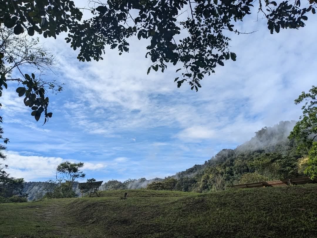Ayahuasca Ceremony at Hayulima Natural Reserve – July 11th, 2026