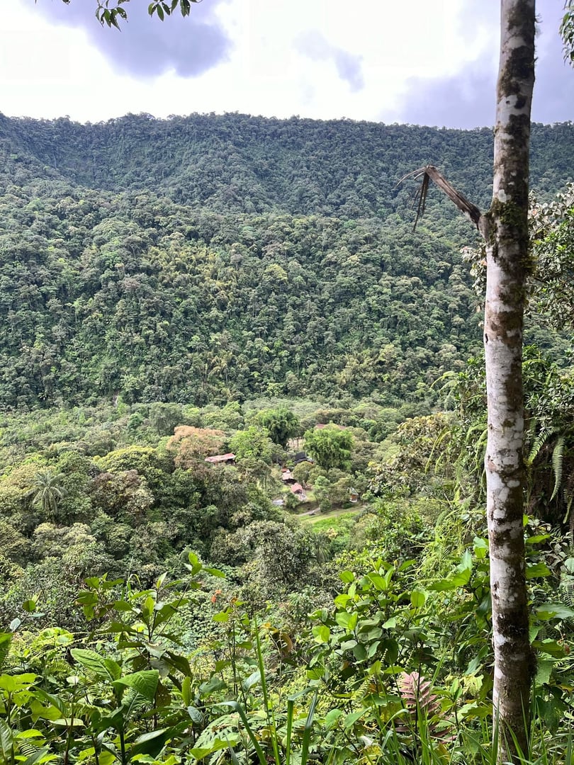 Ayahuasca Ceremony at Hayulima Natural Reserve – July 11th, 2026