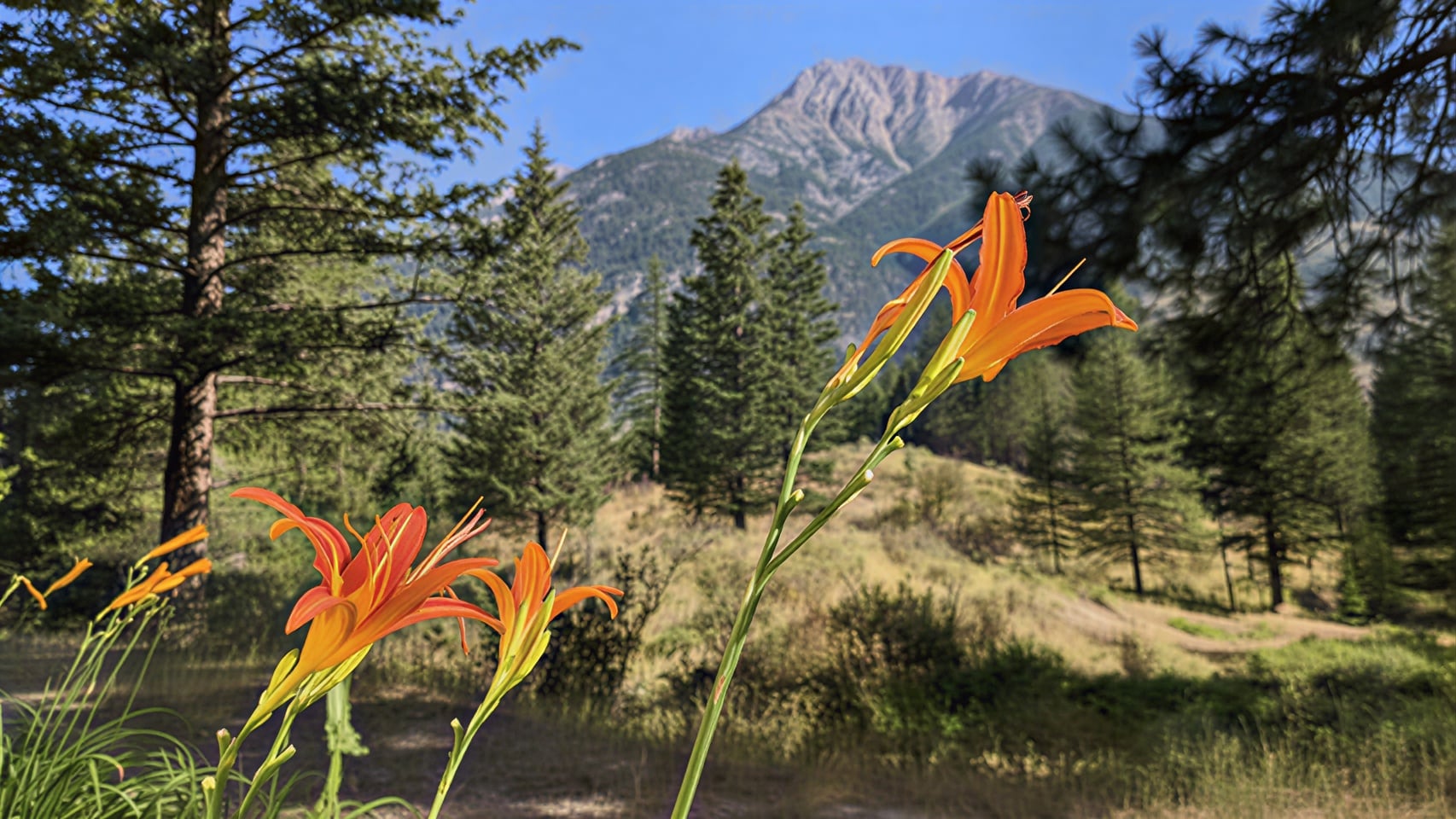 Tantra Practice Retreat