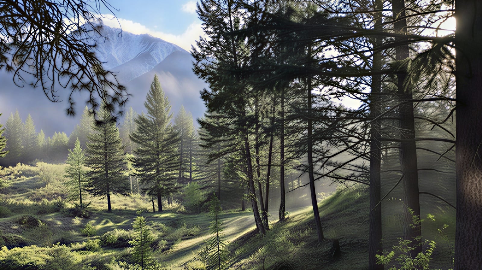 Three Month Intensive Karma Yoga Program – Main Intake