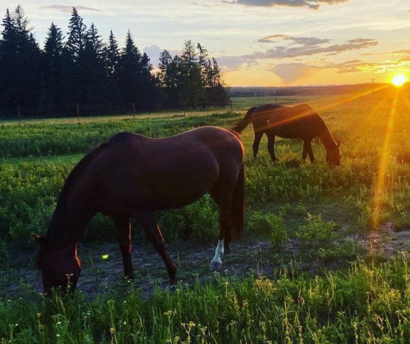 Three Month Intensive Karma Yoga Program – Main Intake