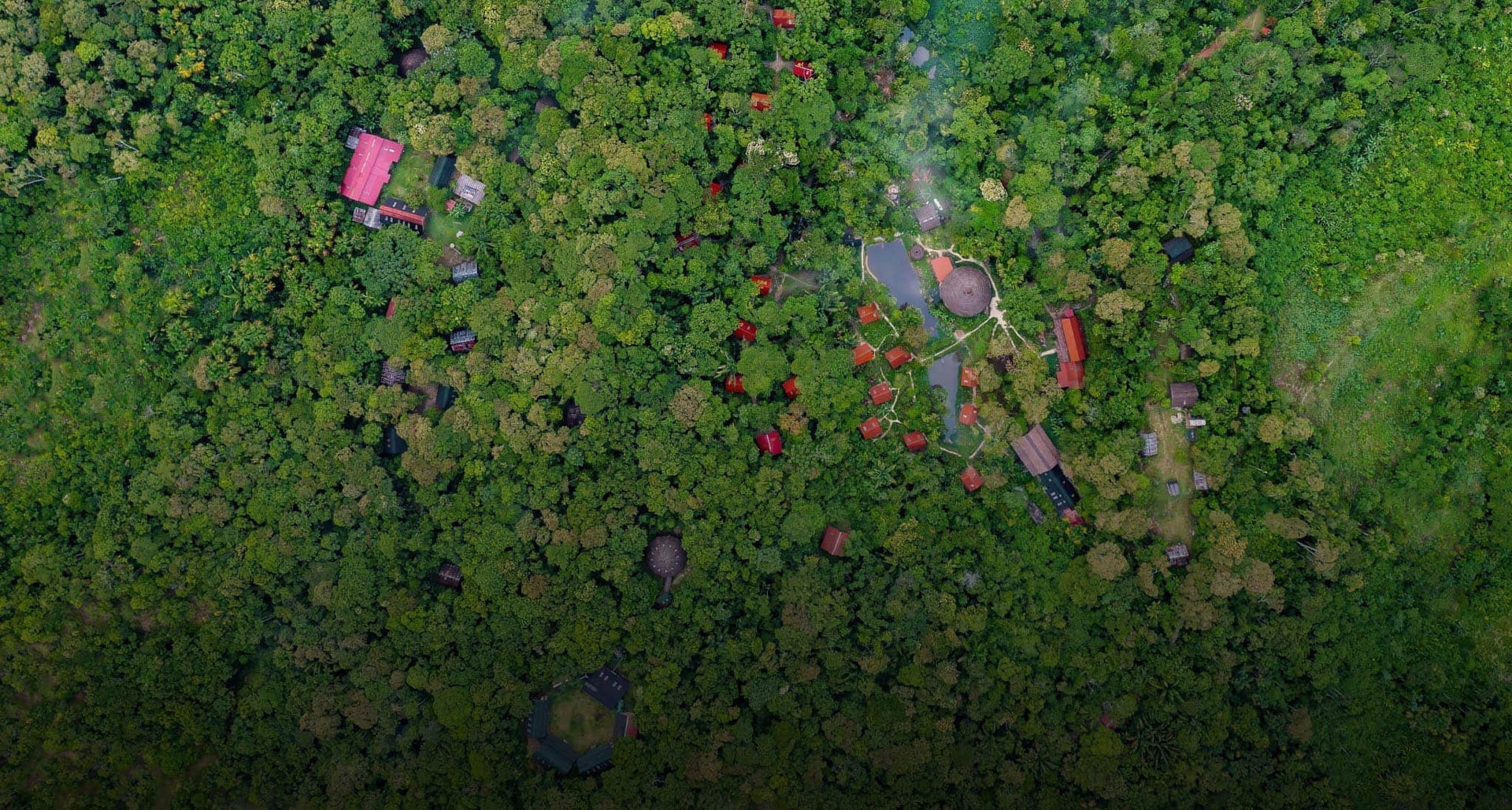 Ayahuasca Healing Retreat + 5-Day Integration Retreat