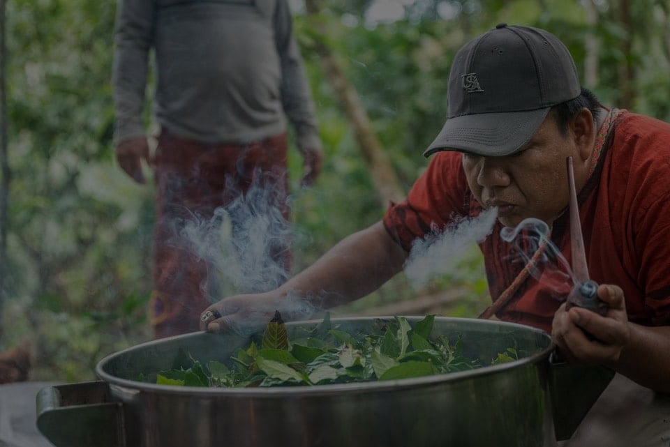Ayahuasca Healing Retreat + 5-Day Integration Retreat