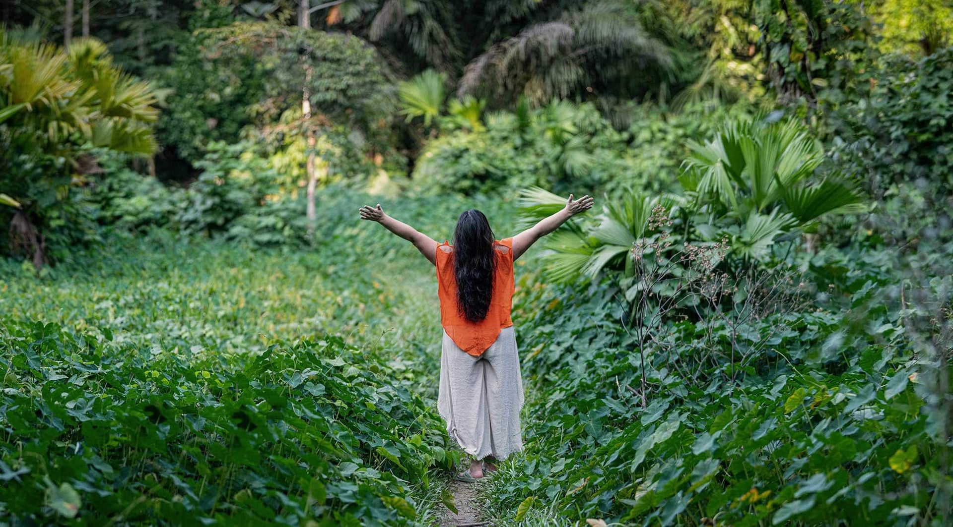 Ayahuasca Healing Retreat + 5-Day Integration Retreat