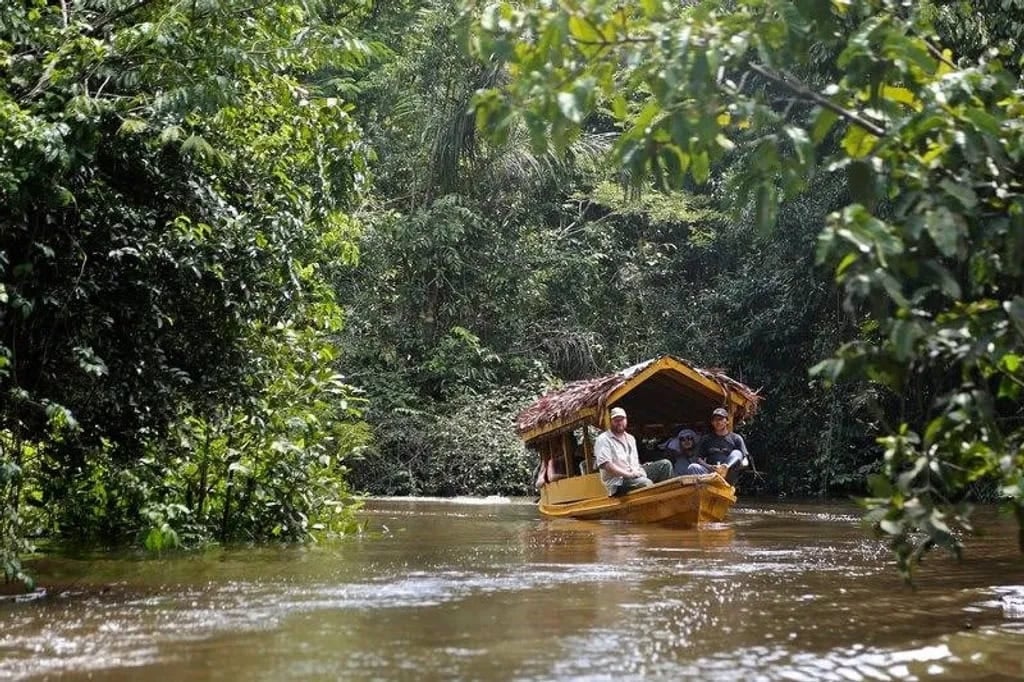 Ayahuasca Healing Retreat + 5-Day Integration Retreat