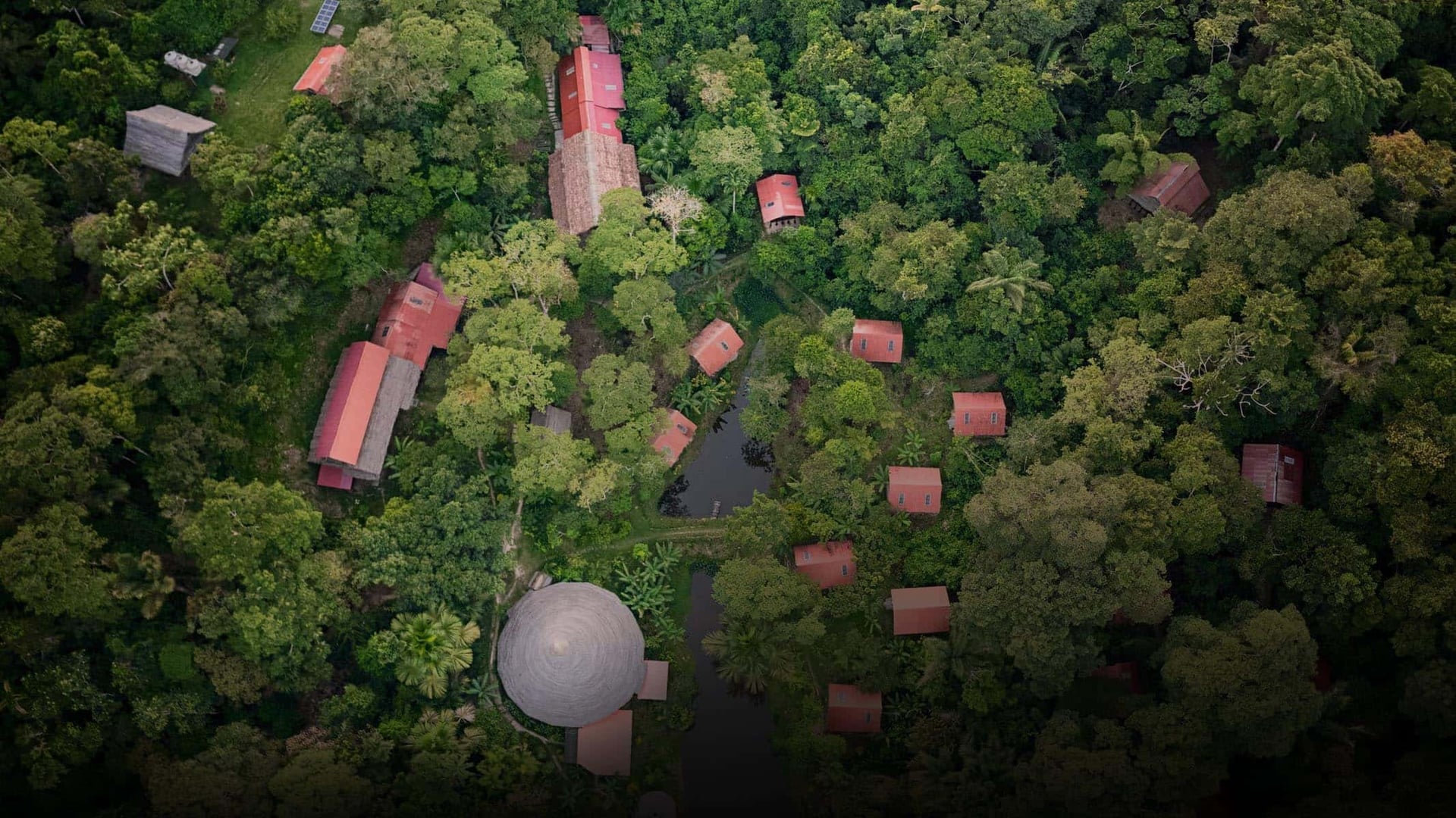 Ayahuasca Healing Retreat + 5-Day Integration Retreat