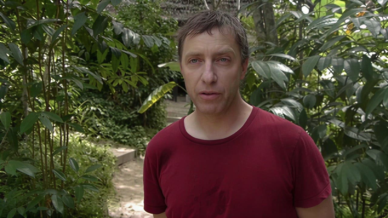 Ayahuasca Healing Retreat + 5-Day Integration Retreat