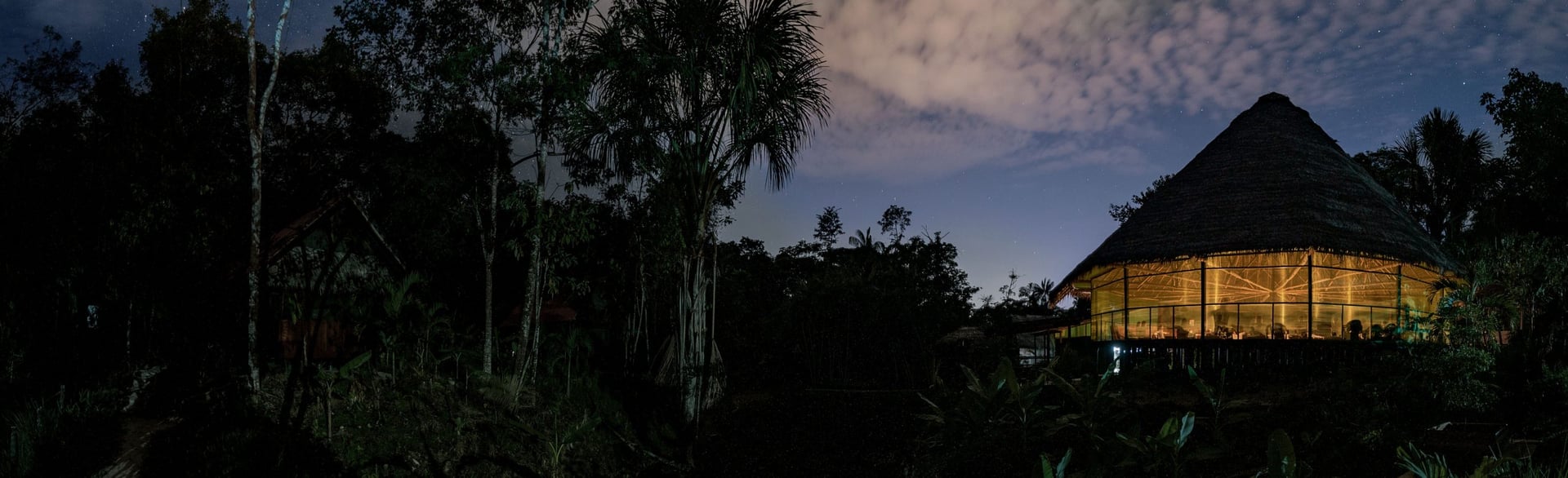 Women's Ayahuasca Healing Retreat