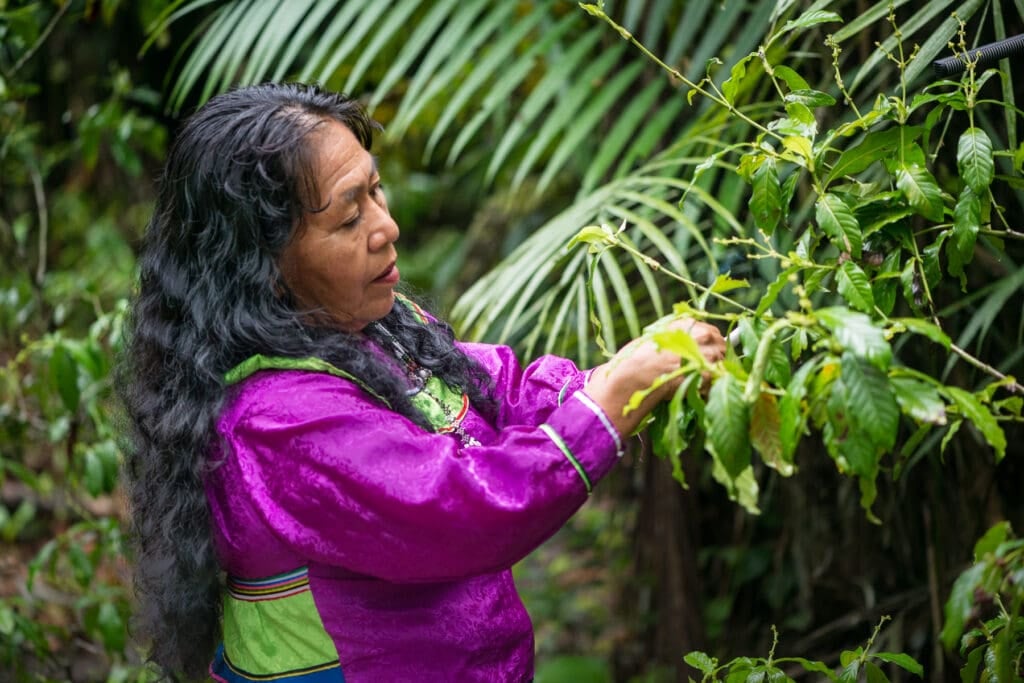 Women's Ayahuasca Healing Retreat