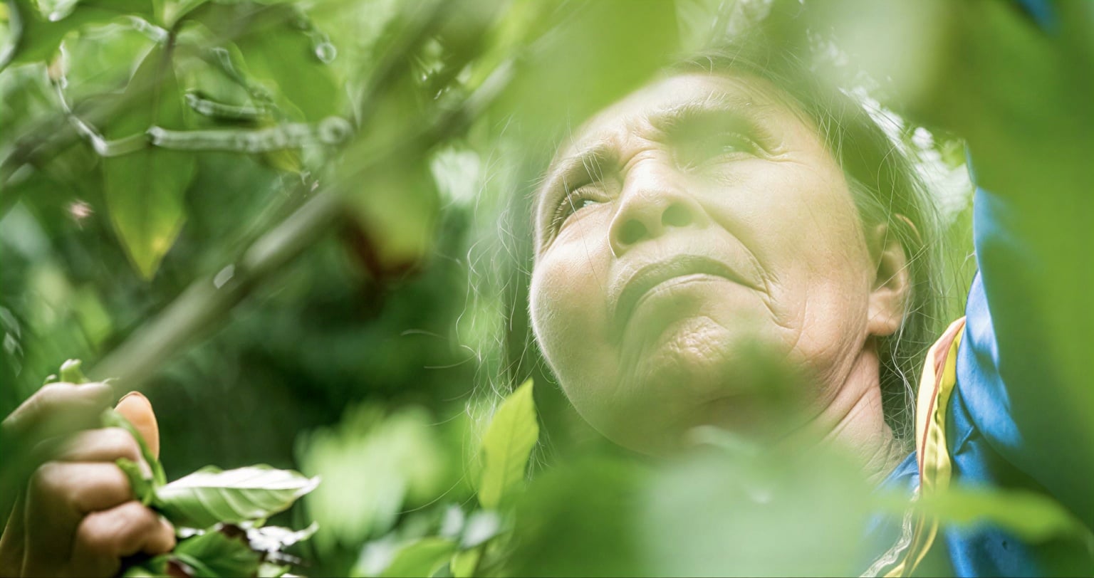 Women's Ayahuasca Healing Retreat