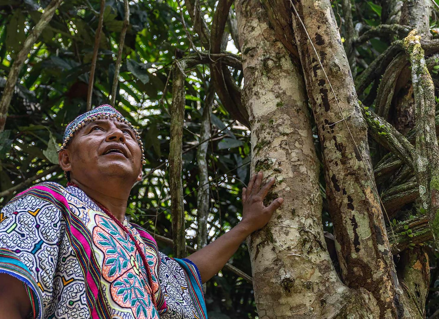 Women's Ayahuasca Healing Retreat