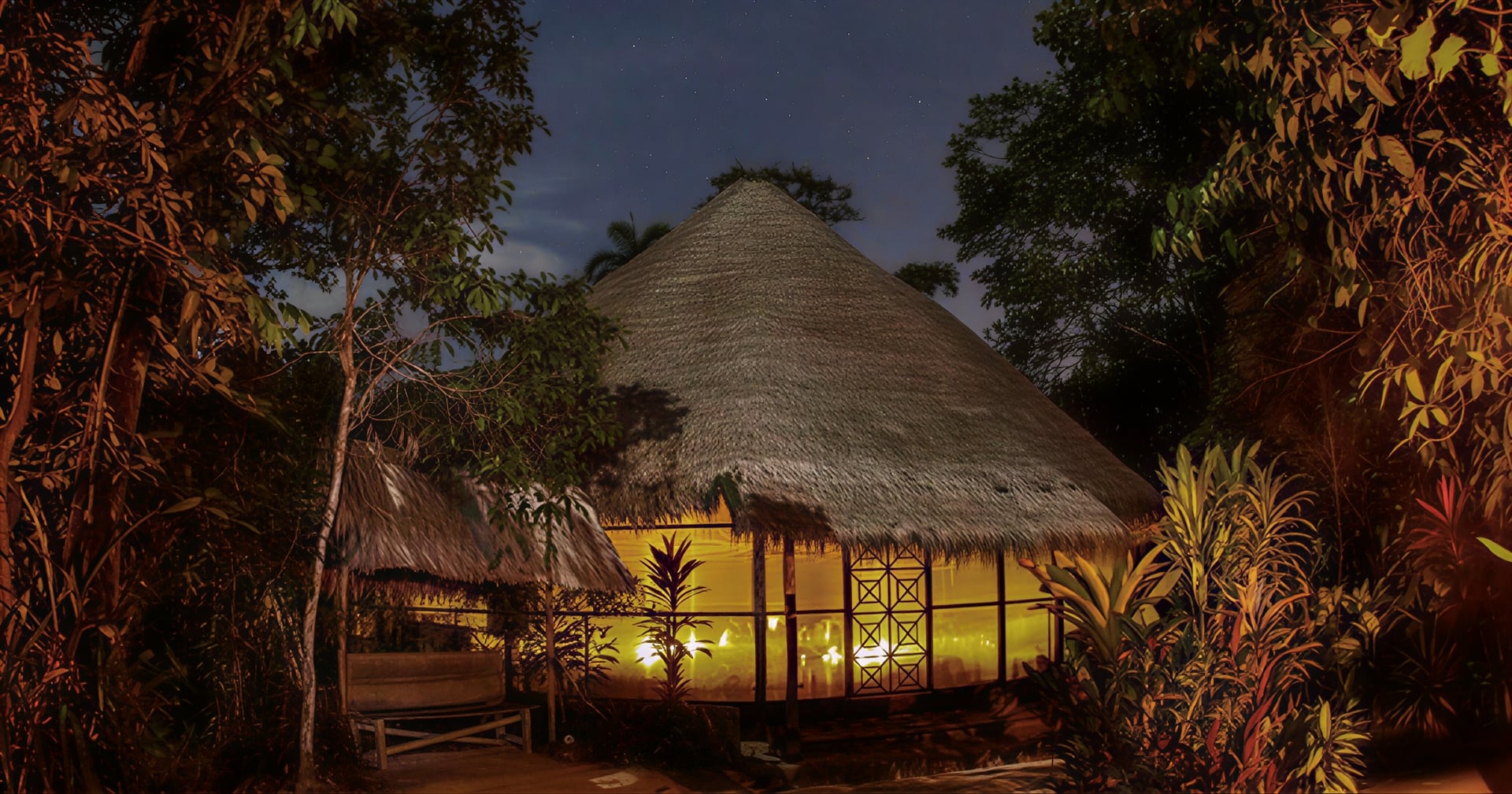 Women's Ayahuasca Healing Retreat