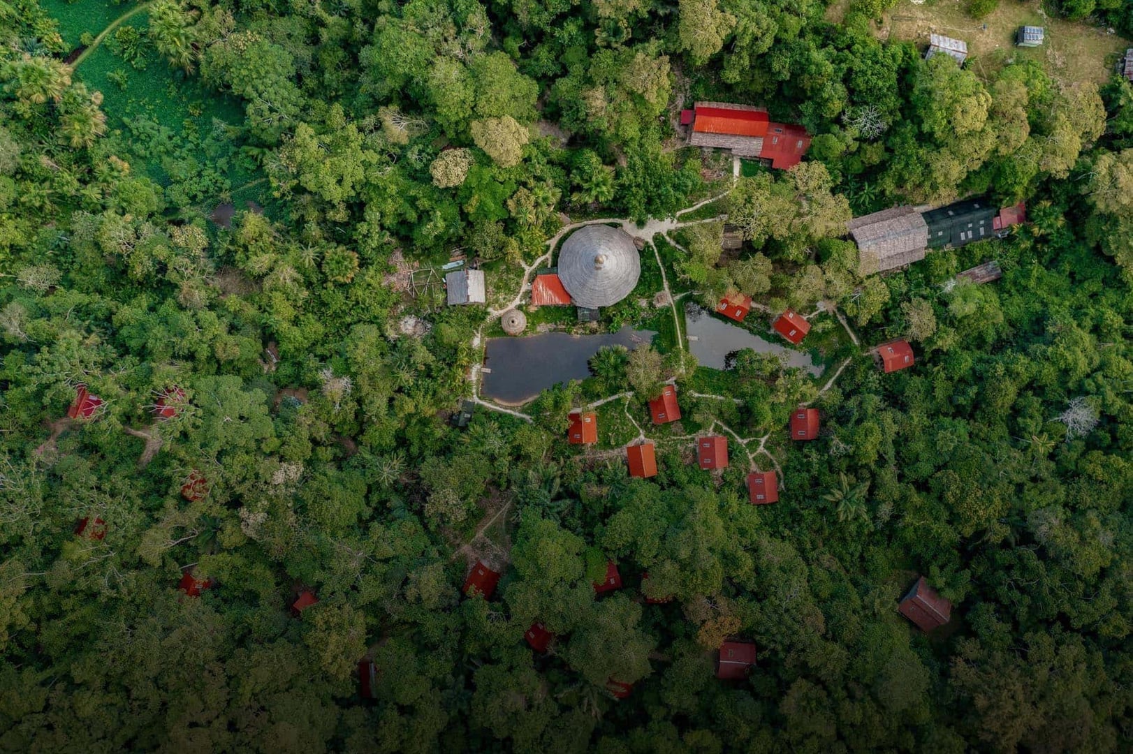 Women's Ayahuasca Healing Retreat