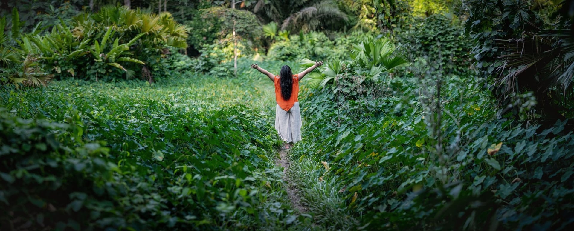 Women's Ayahuasca Healing Retreat