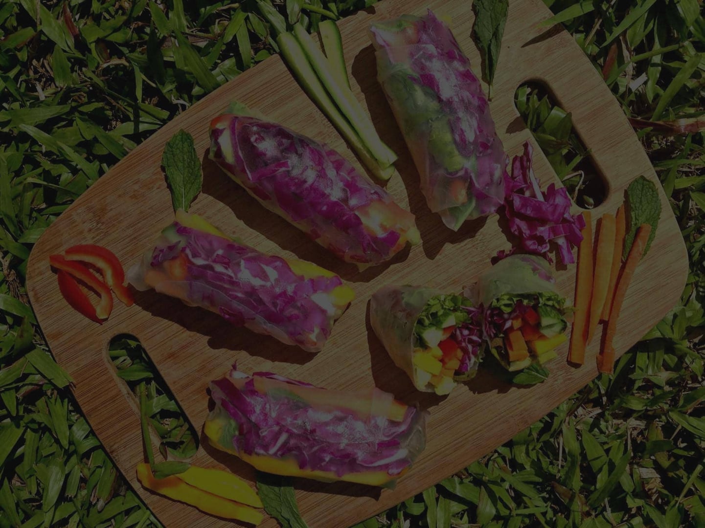 Women's Ayahuasca Healing Retreat