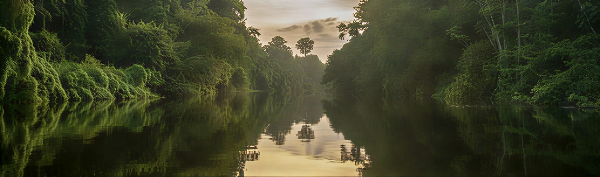 Women's Ayahuasca Healing Retreat