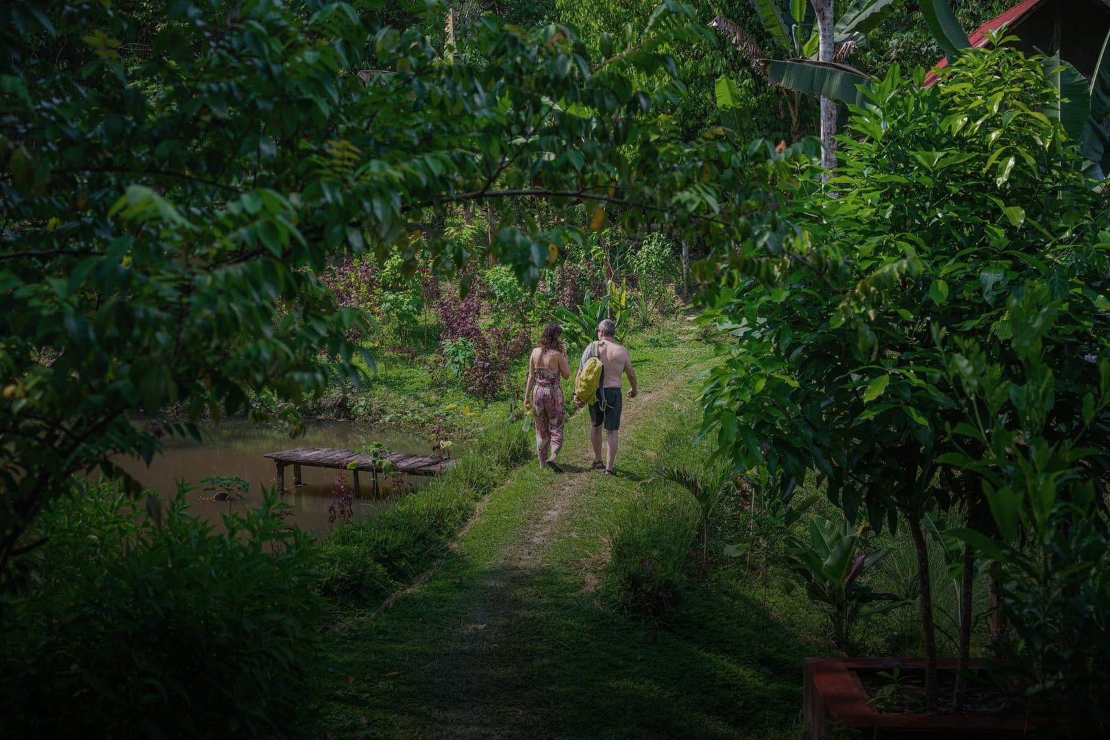 Women's Ayahuasca Healing Retreat