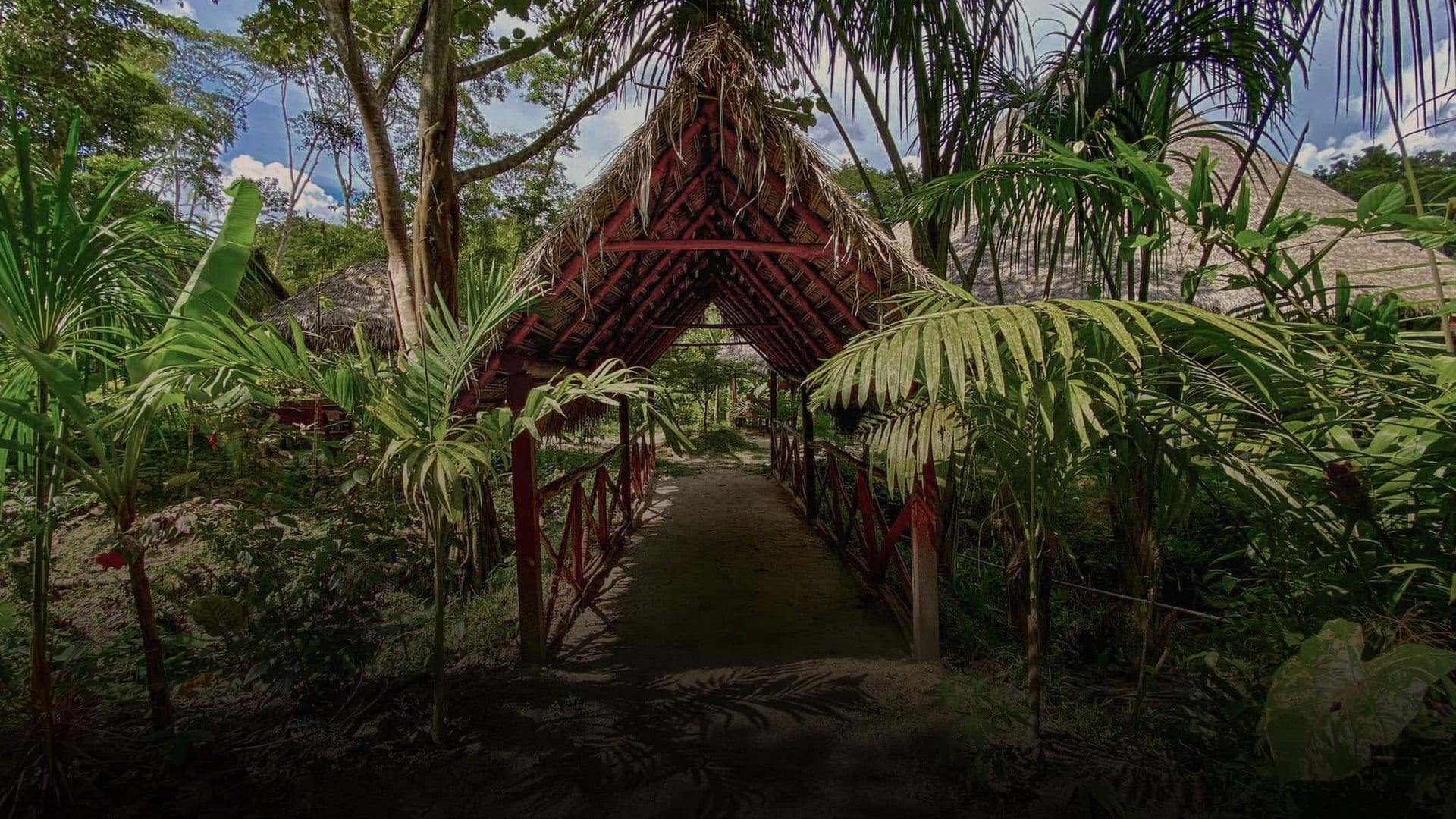 Women's Ayahuasca Healing Retreat