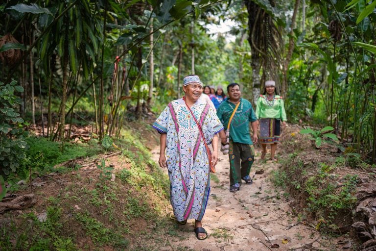 Women's Ayahuasca Healing Retreat