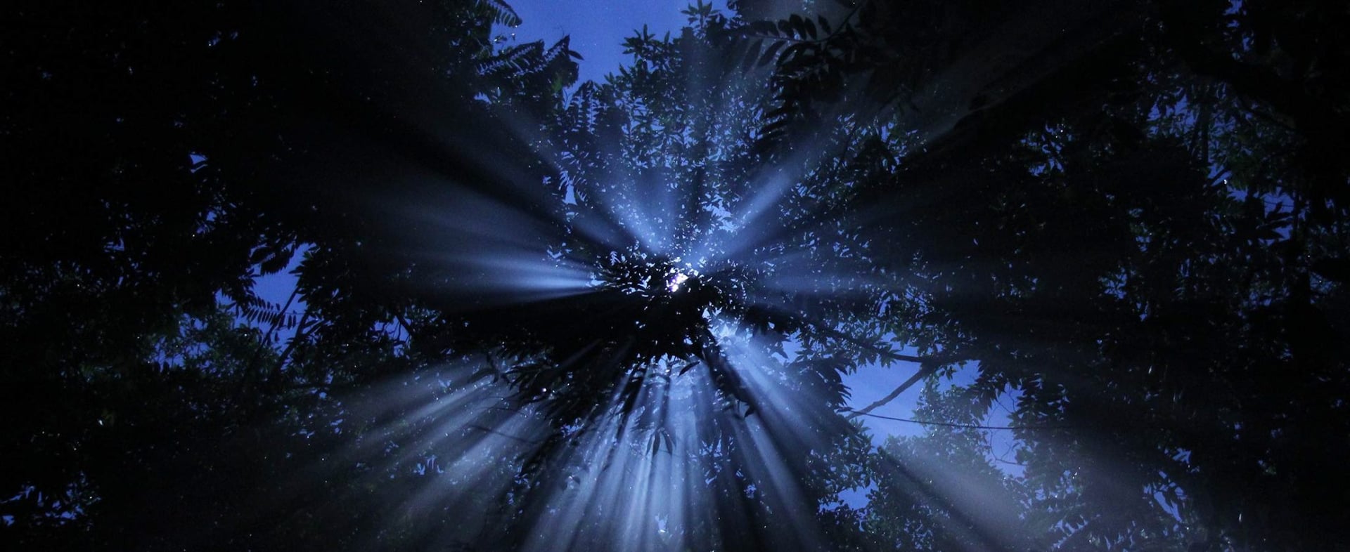 Healthcare Practitioners Ayahuasca Retreat 2026