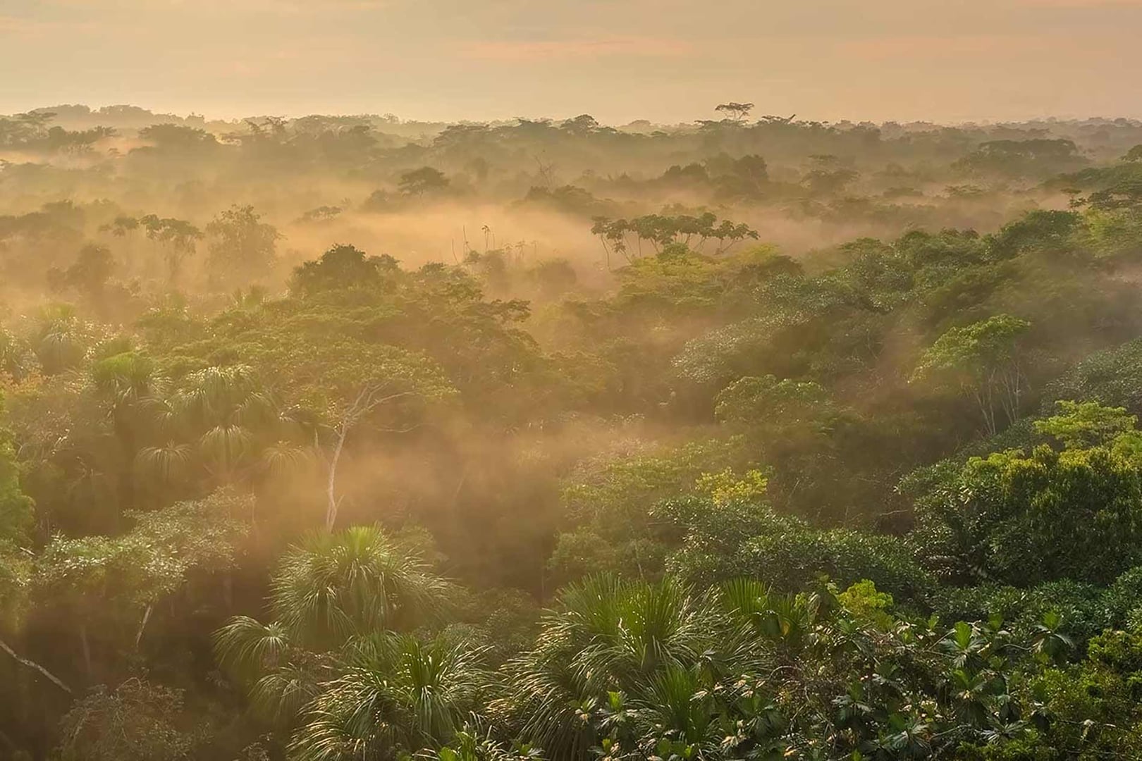 Healthcare Practitioners Ayahuasca Retreat 2026