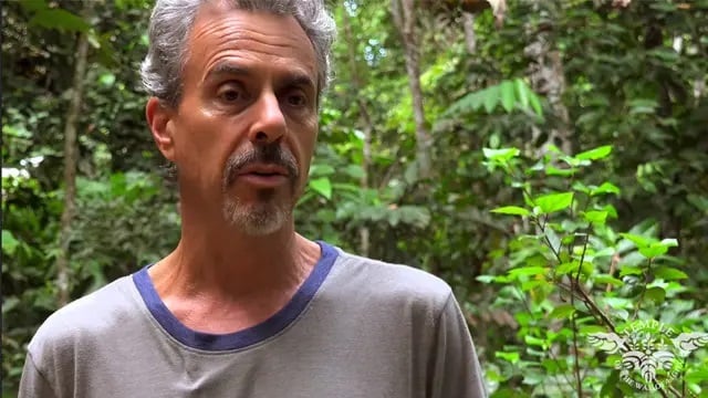 Healthcare Practitioners Ayahuasca Retreat 2026