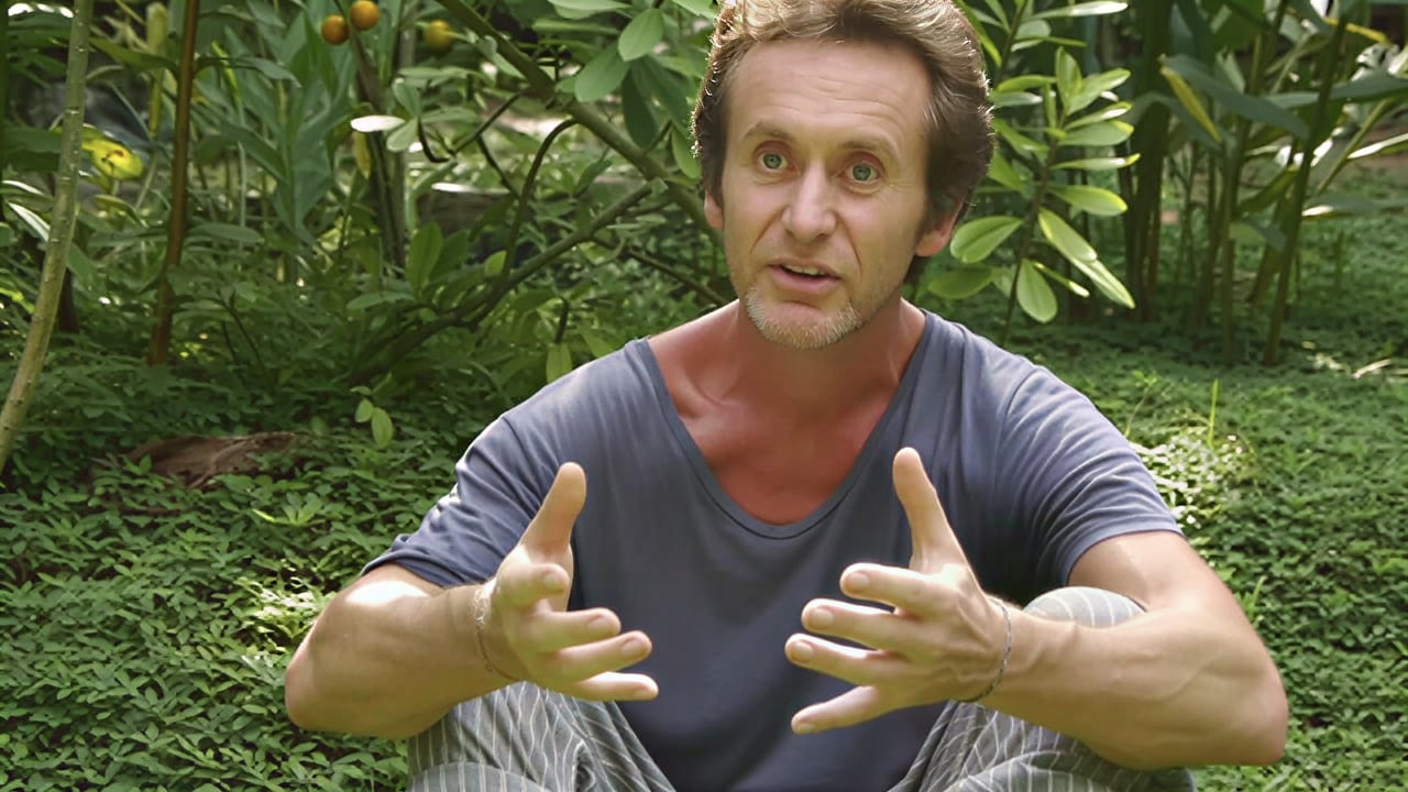 Healthcare Practitioners Ayahuasca Retreat 2026