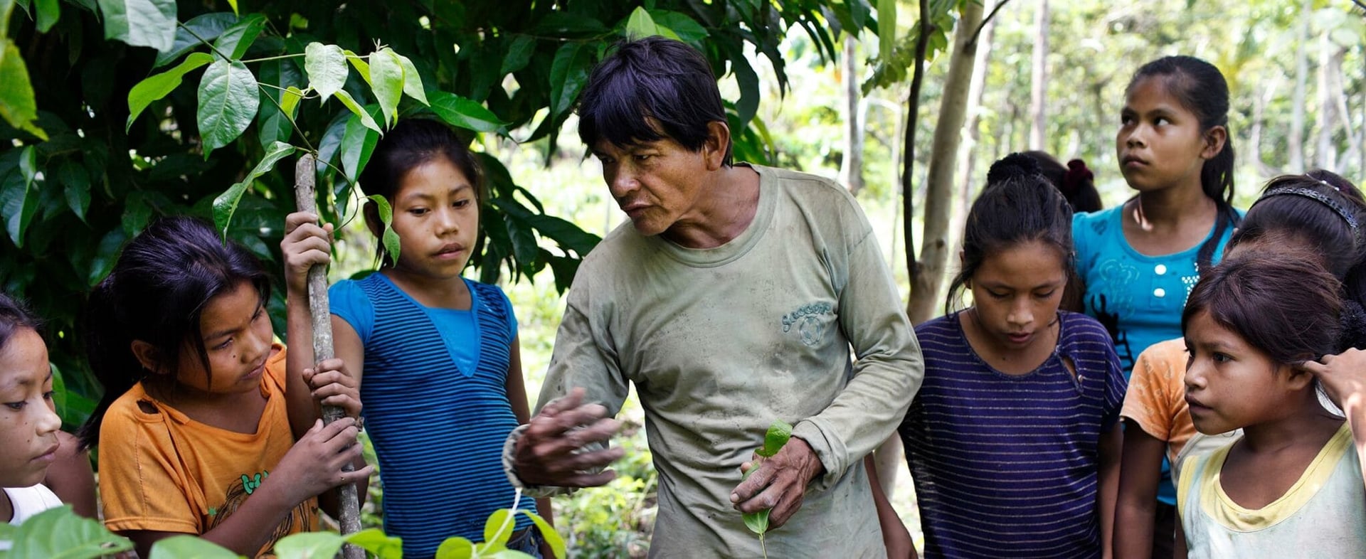 Living in Alignment Ayahuasca Healing Retreat + 5-Day Integration Extension Retreat