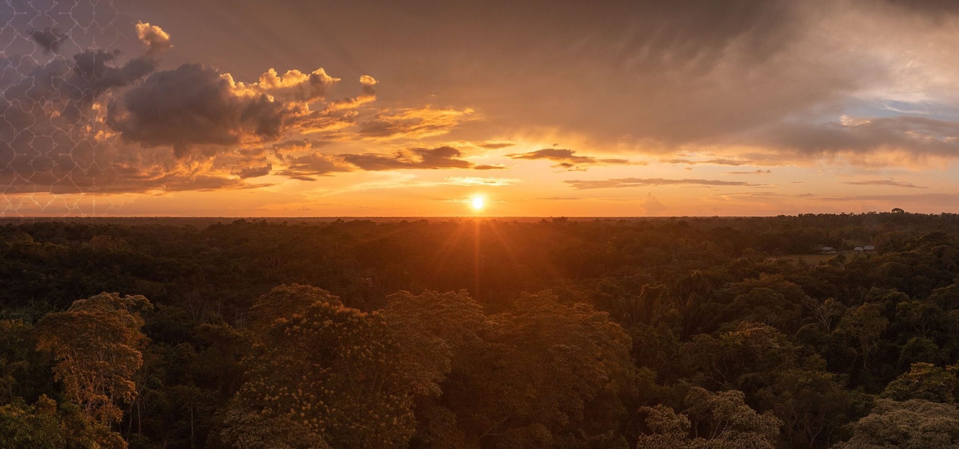 Living in Alignment Ayahuasca Healing Retreat + 5-Day Integration Extension Retreat