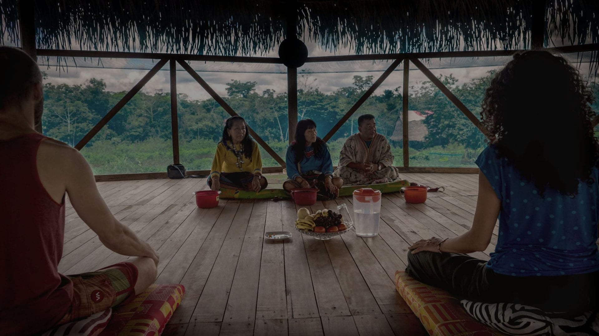 Traditional Plant Dietas at Shipibo Rao