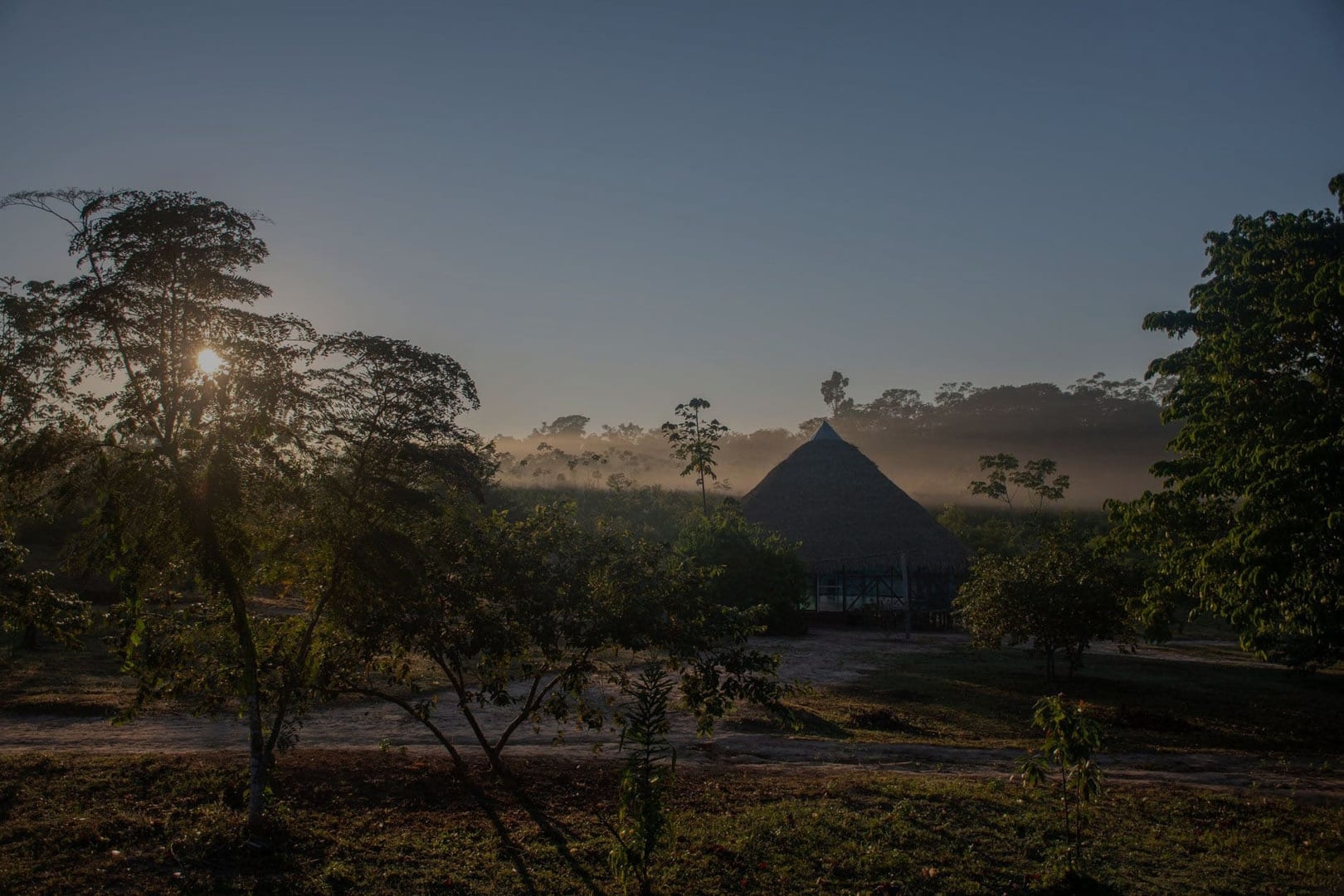 Traditional Plant Dietas at Shipibo Rao