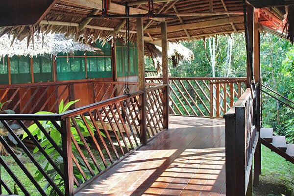 Four Week Ayahuasca Healing Empowerment Course