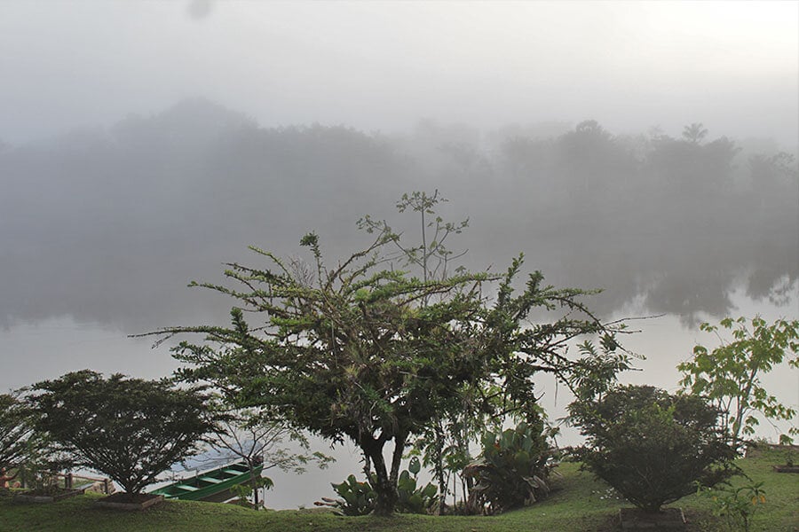 Four Week Ayahuasca Healing Empowerment Course