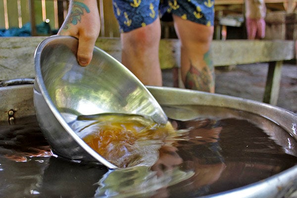 Four Week Ayahuasca Healing Empowerment Course