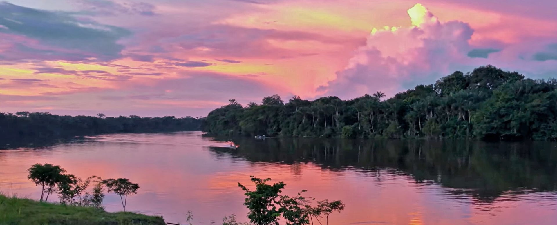 Four Week Ayahuasca Healing Empowerment Course