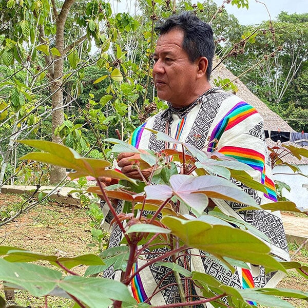 8 Week Ayahuasca Initiation Course