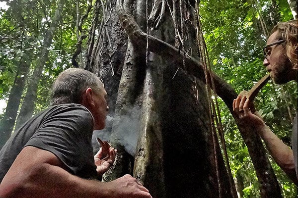 8 Week Ayahuasca Initiation Course