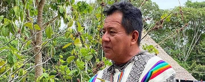 8 Week Ayahuasca Initiation Course