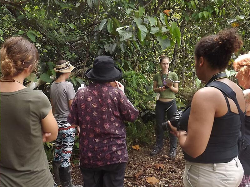 10-Day Women's Ayahuasca Retreat