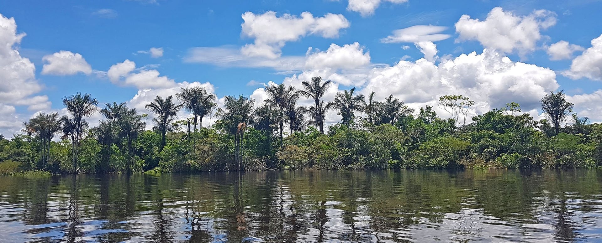 10-Day Women's Ayahuasca Retreat