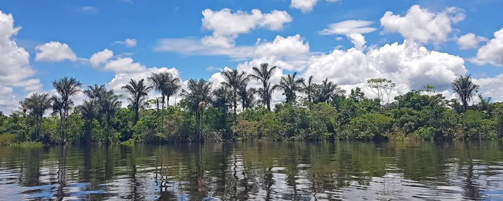 10-Day Women's Ayahuasca Retreat