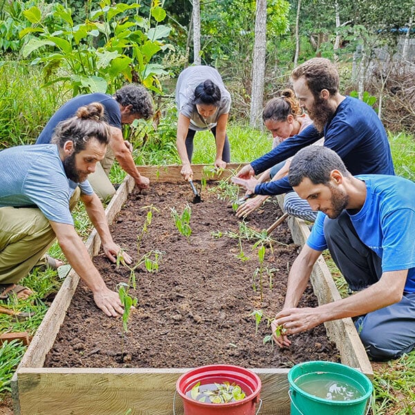 Eight Week Shipibo Ayahuasca Initiation Course in Peru – October 4 - November 28, 2026