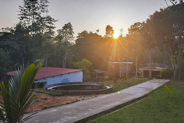 Eight Week Shipibo Ayahuasca Initiation Course in Peru – October 4 - November 28, 2026