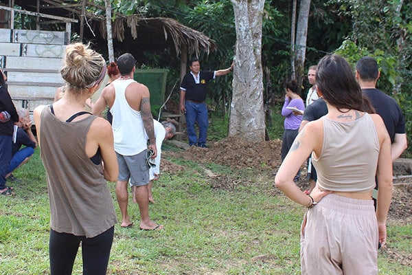 Eight Week Shipibo Ayahuasca Initiation Course in Peru – October 4 - November 28, 2026