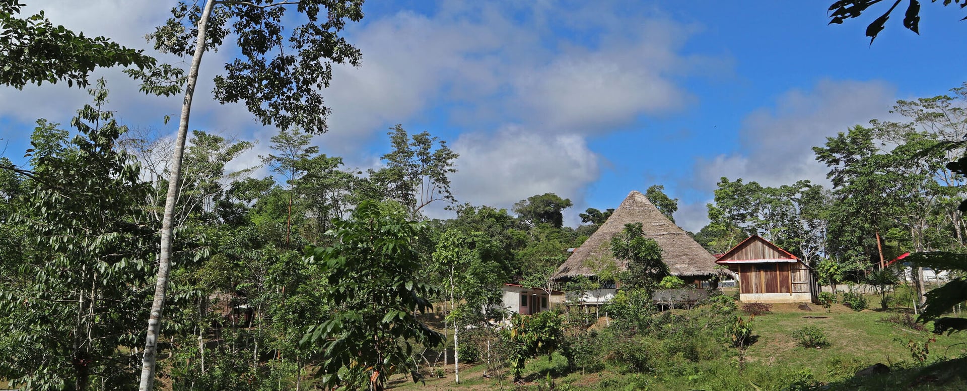 Eight Week Shipibo Ayahuasca Initiation Course in Peru – October 4 - November 28, 2026