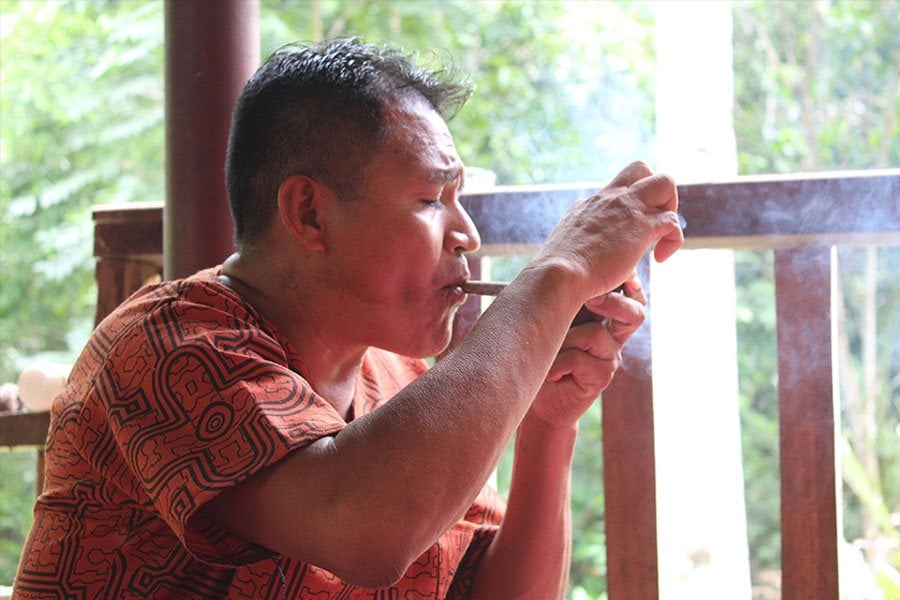Shipibo Ayahuasca Retreat and Plant Dieta