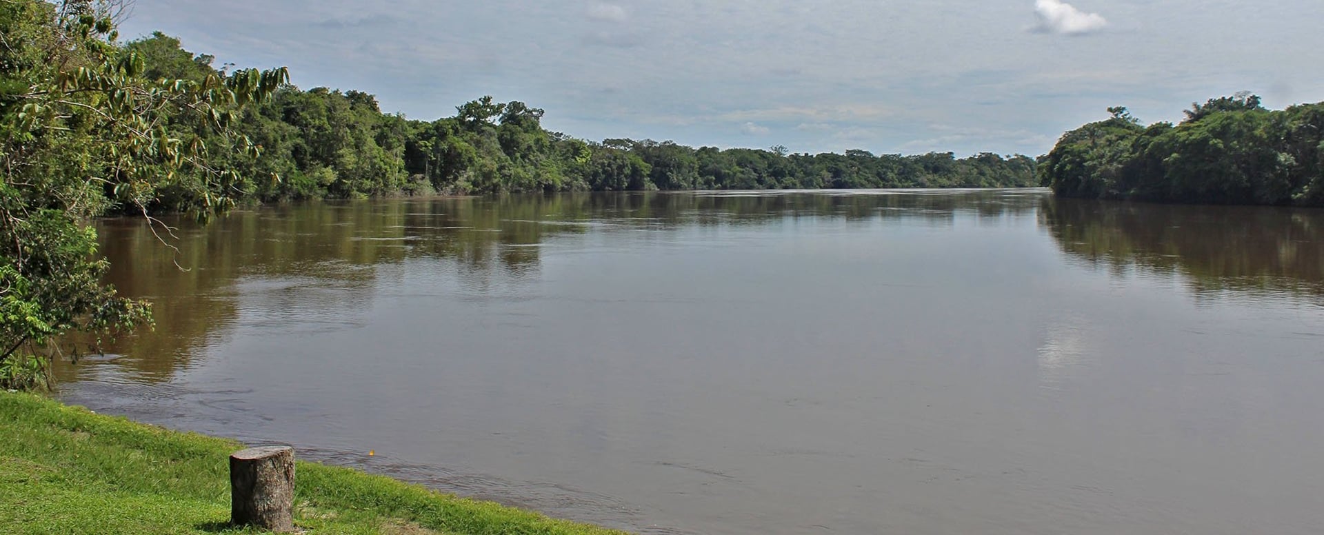 Shipibo Ayahuasca Retreat and Plant Dieta