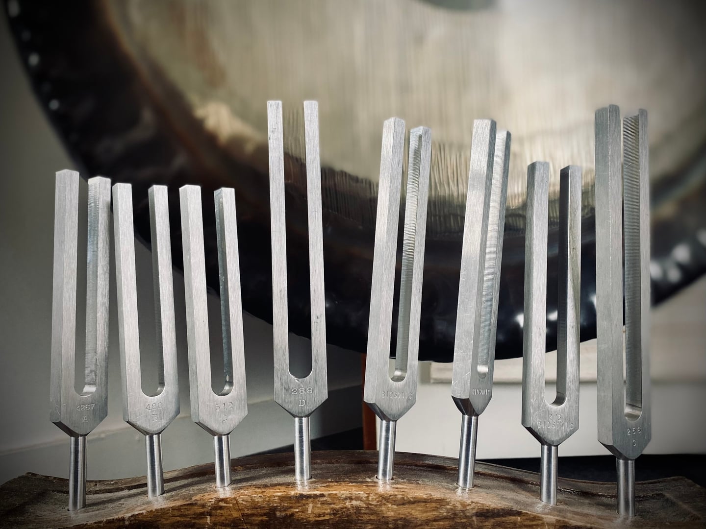14th Annual Sage Certification Training - Module 1: The Fundamental Principles of SoundHealing from the Ancient Shamanic Tradition to New Science : followed by Tuning Fork Studies