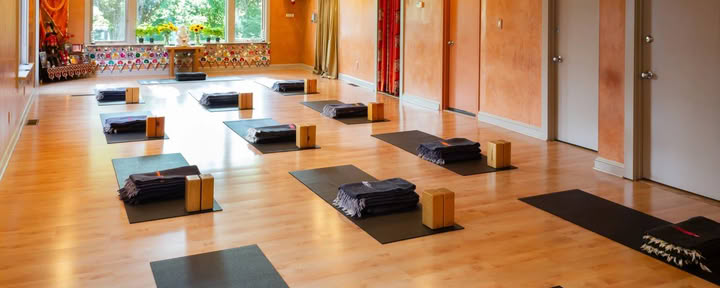 Vinyasa Flow ~ Level I/II